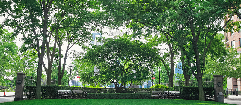 Rector Park