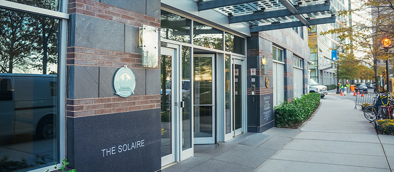 The Solaire