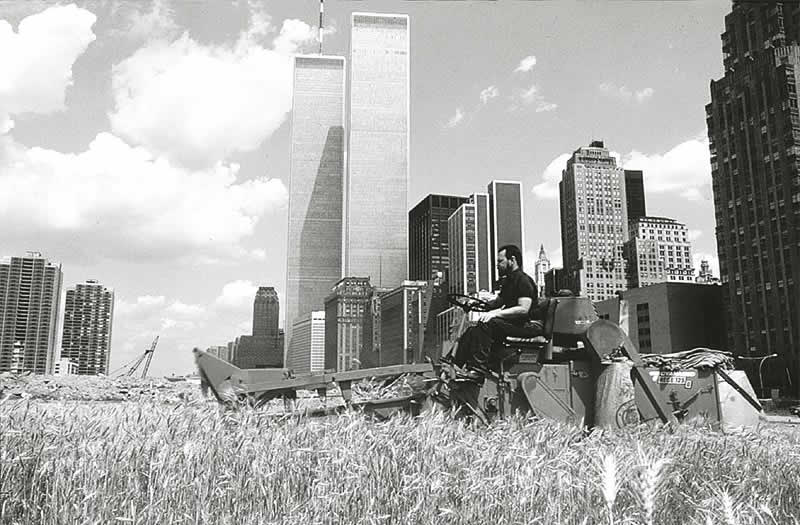 Wheatfield – A Confrontation